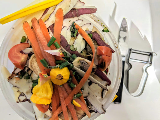 Composting Made Easy: Turn Kitchen Waste into Garden Gold!